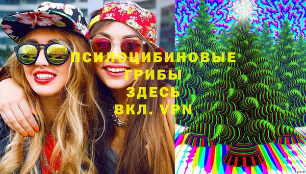 стаф Белоозёрский