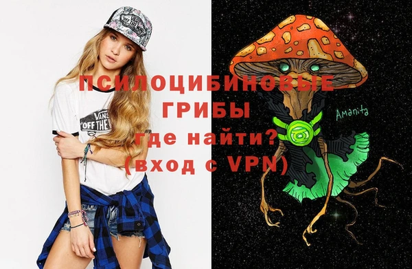 стаф Белоозёрский