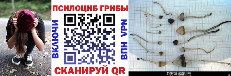 Галлюциногенные грибы прущие грибы  Колпашево 